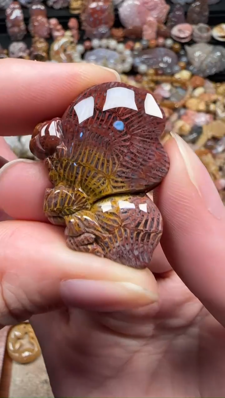 颈饰未镶嵌硅化珊瑚（珊瑚玉）609