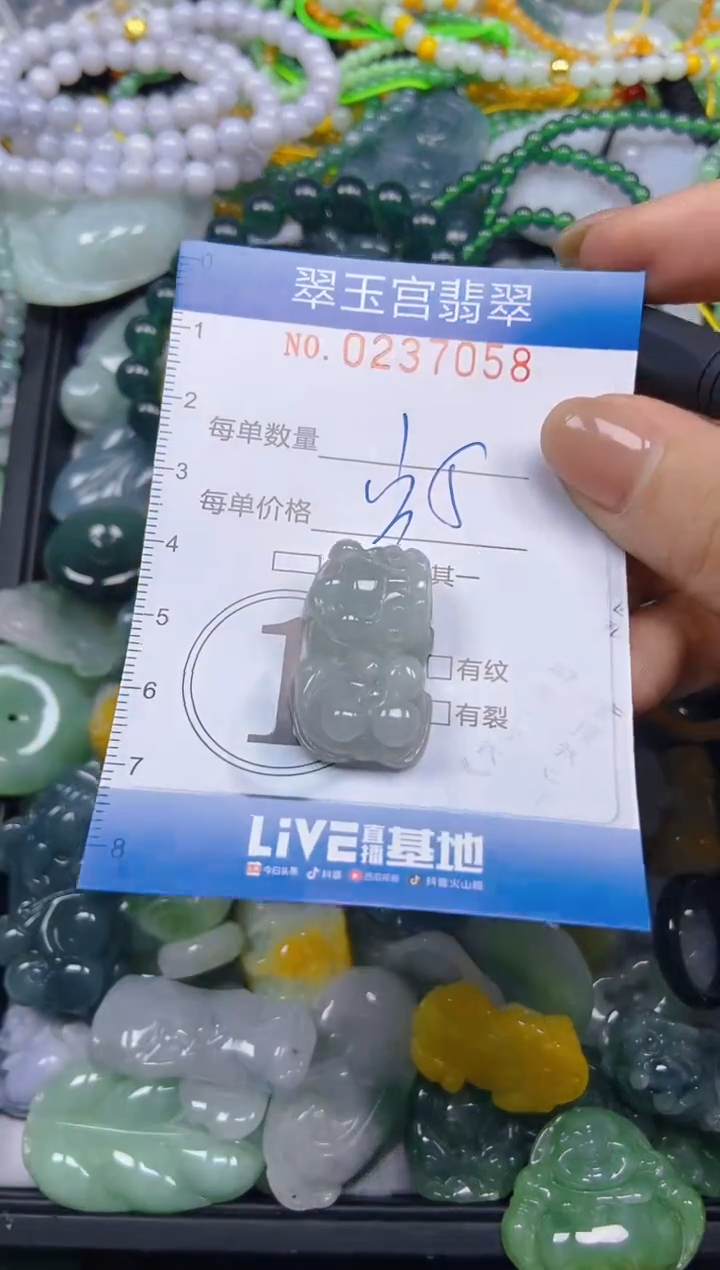 颈饰未镶嵌翡翠闪购C0237058