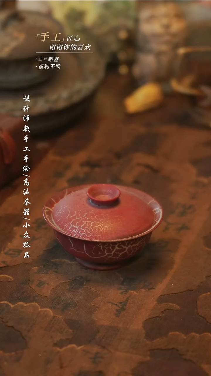 陶673【溯本】瓷片***瓷片