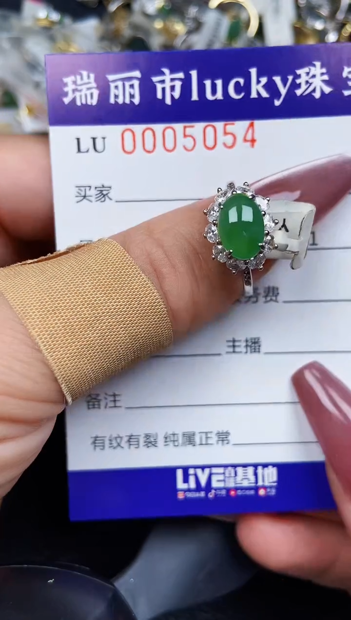 翡翠银S925镶嵌颈饰5054