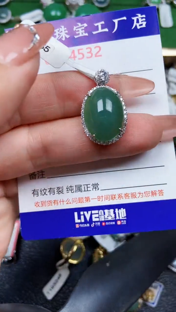 【闪购商品】翡翠颈饰银S925镶嵌4532