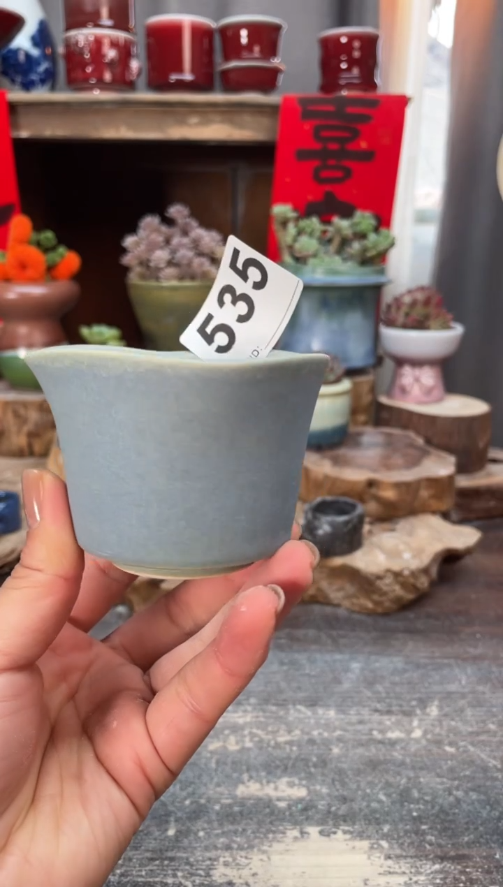 【闪购商品】摆件535知木小芳花盆