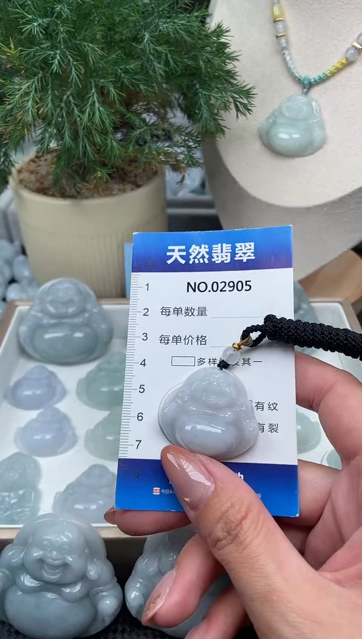 颈饰未镶嵌翡翠纯天然A货缅翡2905