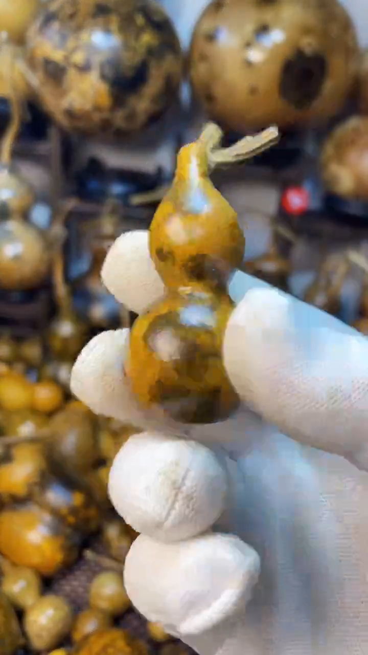 【闪购商品】葫芦葫芦葫芦葫芦