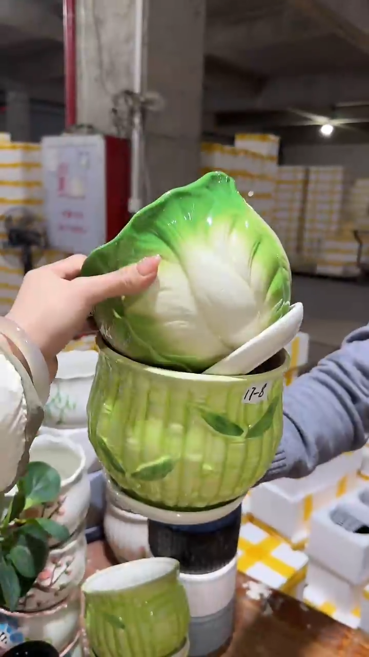 【闪购商品】陶瓷+17-6