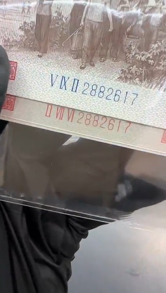 【闪购商品】下乡双胞胎尾2617。。。。。