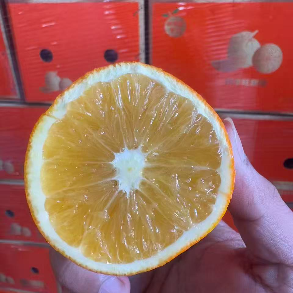 可拍可送【冰糖橙】一件约5斤