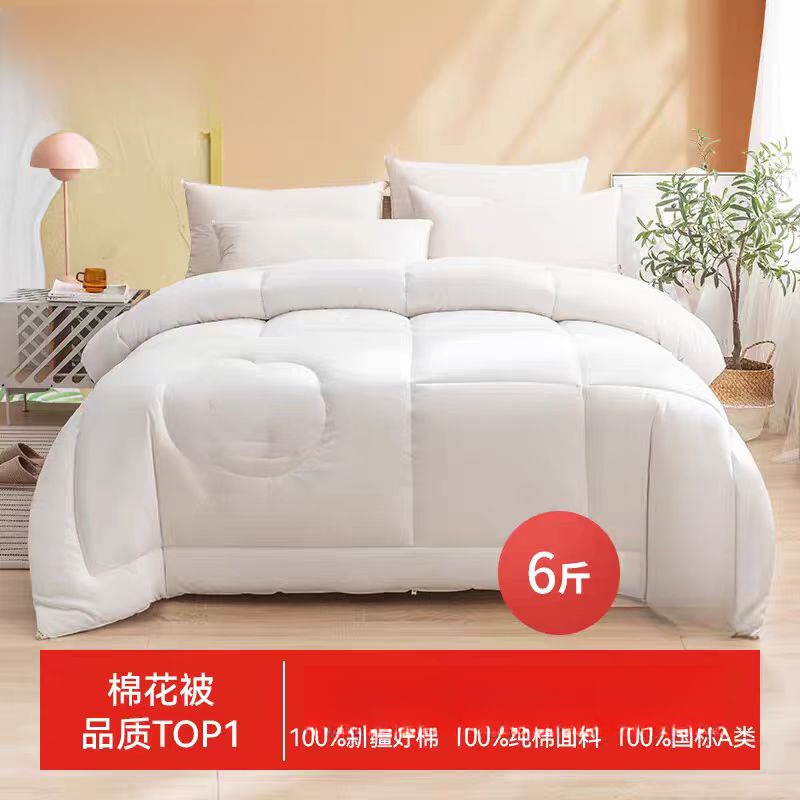 棉被芯空调被夏凉被整张被子6斤冬季加厚保暖被1113-50