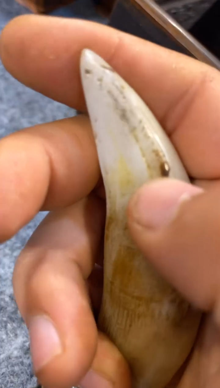 花梨木类000000000000000