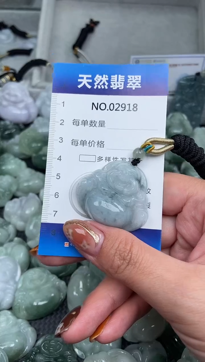颈饰未镶嵌翡翠纯天然A货翡翠2918