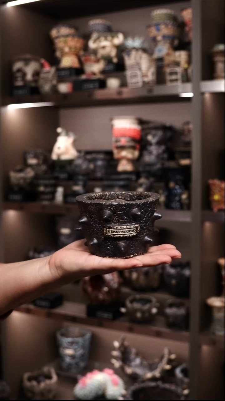 飛*飛泰国进口手工花盆个性创意花盆