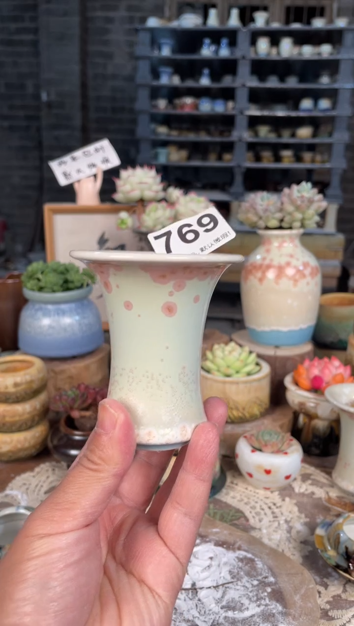 瓷片769知木小芳花盆直播编号