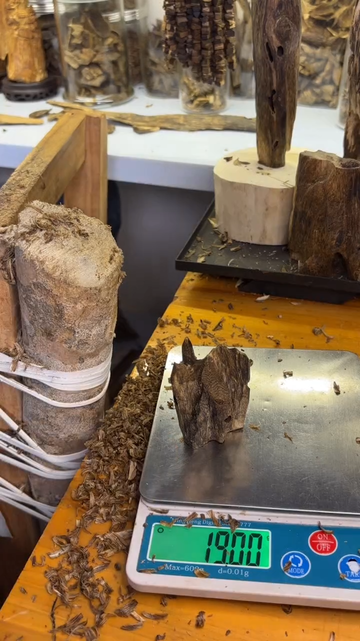 沉香沉香碎屑小虫漏19克