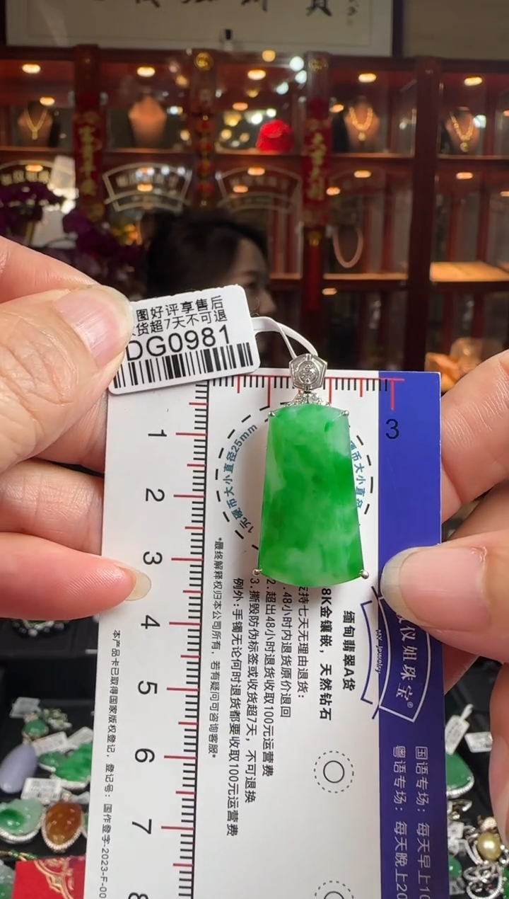 【闪购商品】翡翠颈饰18K金镶嵌DG0981冰绿无事牌