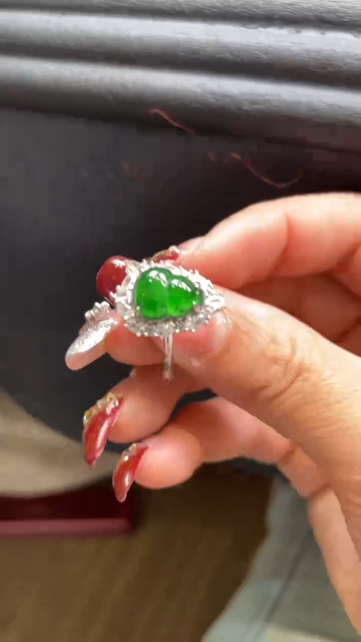 【闪购商品】翡翠颈饰未镶嵌      *33