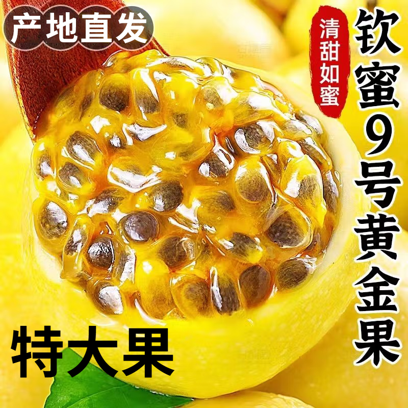 正宗广西钦蜜9号黄金百香果大果特大果新鲜现摘香甜多汁当季水果