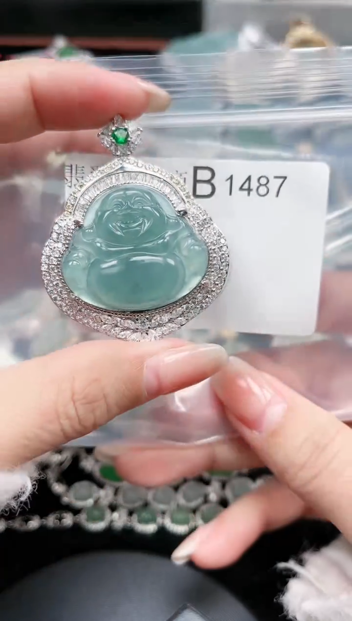 【闪购商品】翡翠颈饰未镶嵌1487赠皮绳