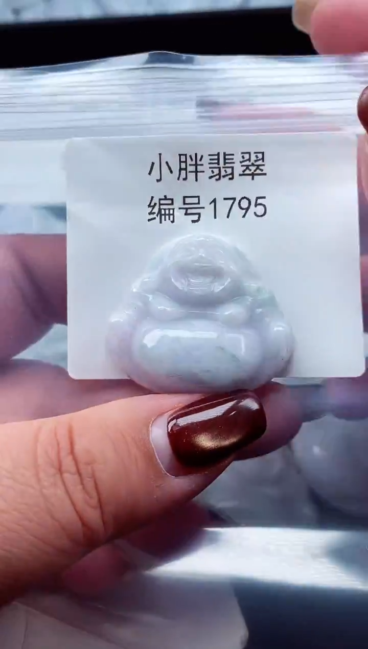 颈饰未镶嵌翡翠缅甸天然A货翡翠1795