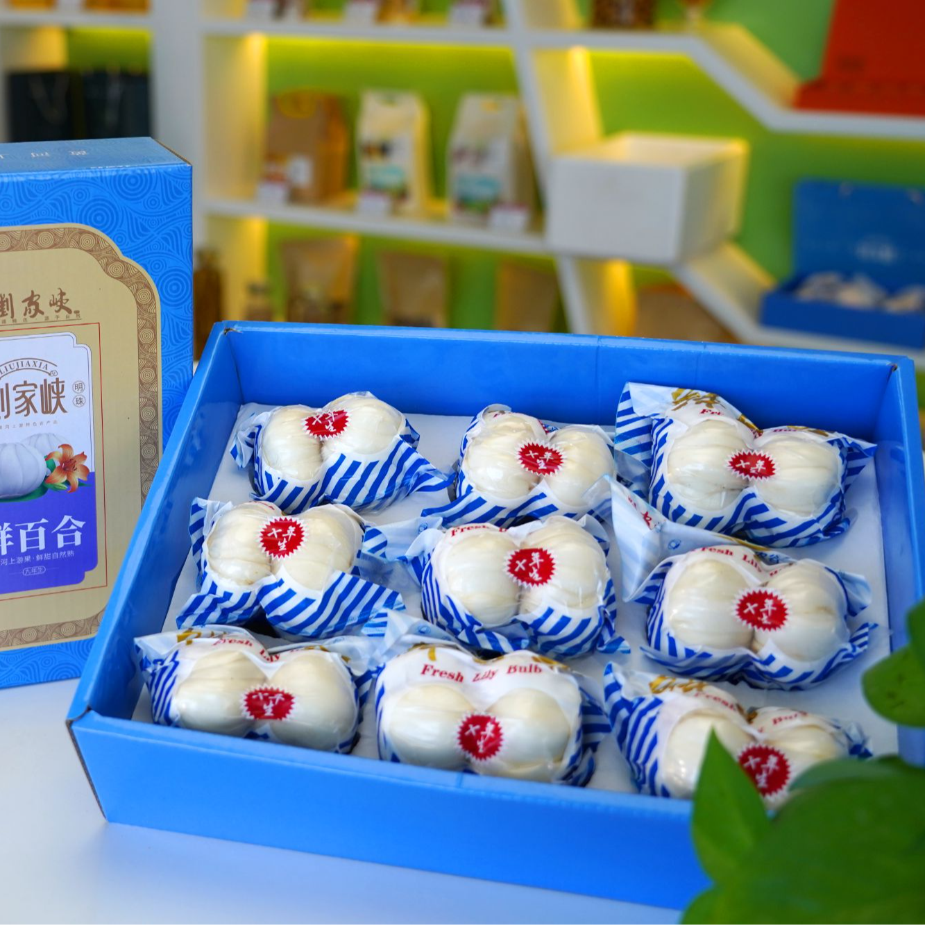 兰州新鲜百合礼盒正宗精选甘肃食用肉厚香甜新挖当季生甜干净包邮
