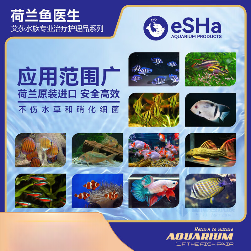 荷兰鱼esha艾莎2000exit胡椒观赏鱼用白便白点胡椒爱莎2000