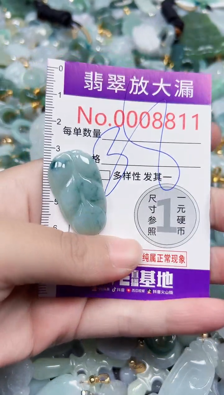 颈饰未镶嵌翡翠8811