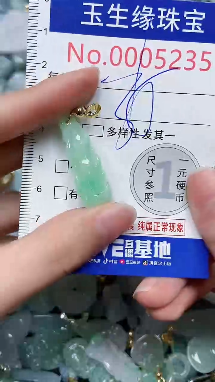 【闪购商品】翡翠颈饰未镶嵌闪购00005235