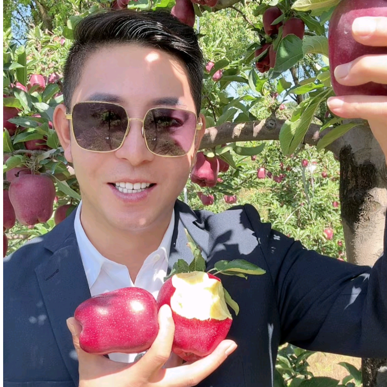 甘肃天水花牛苹果新鲜当季水果脆甜粉糯果肉香甜多汁