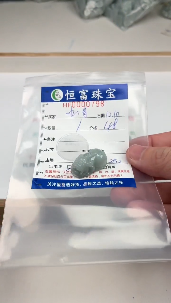 颈饰未镶嵌翡翠水**海翡翠前后孔貔貅