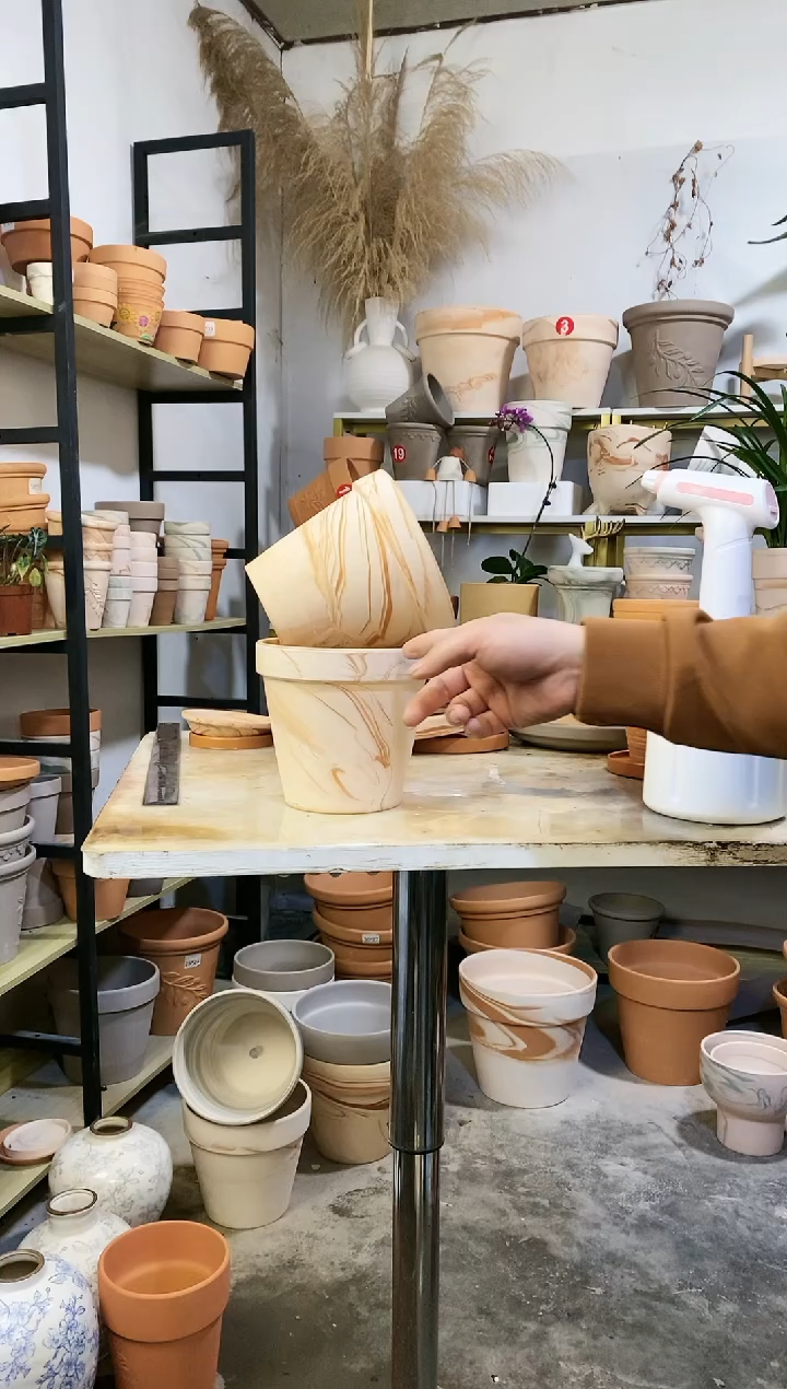 【闪购商品】红陶15*14玛奇朵 5盆无托