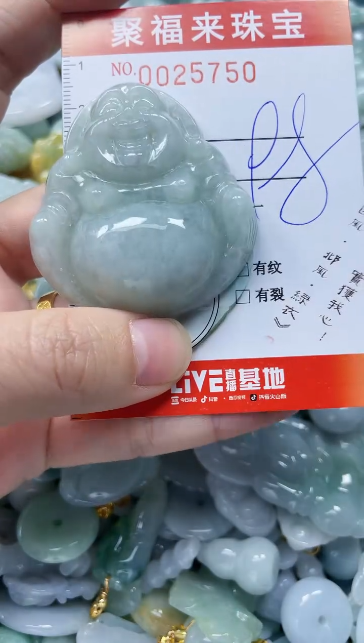 【闪购商品】翡翠颈饰未镶嵌闪购0025750