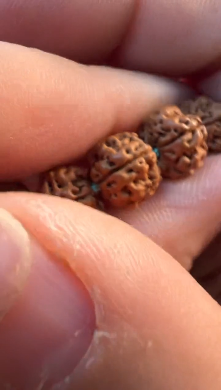 【闪购商品】金刚菩提手串686红方印方墩梅花8-11