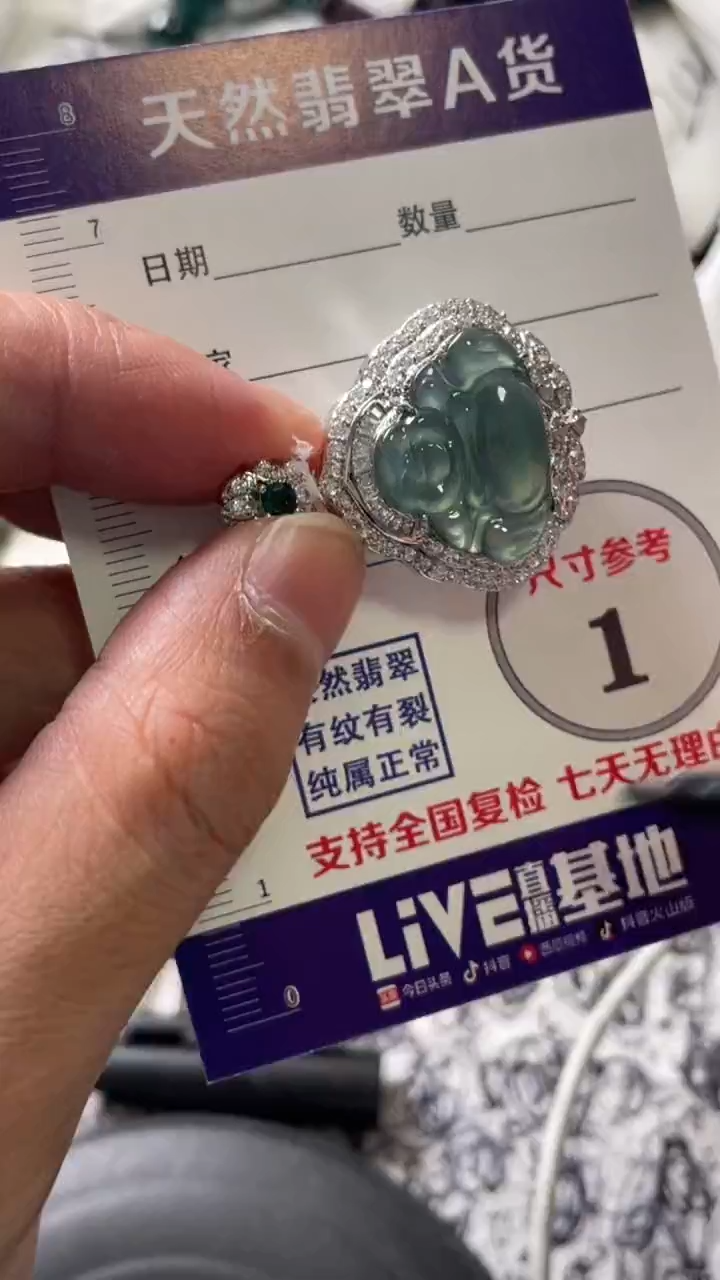 颈饰未镶嵌翡翠888