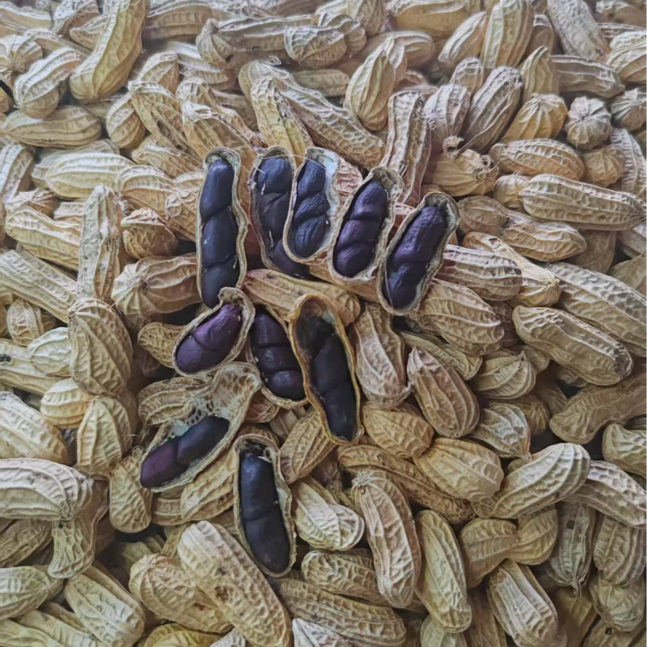 二级晒干七彩花生，富硒黑花生软糯香甜营养健康小零食