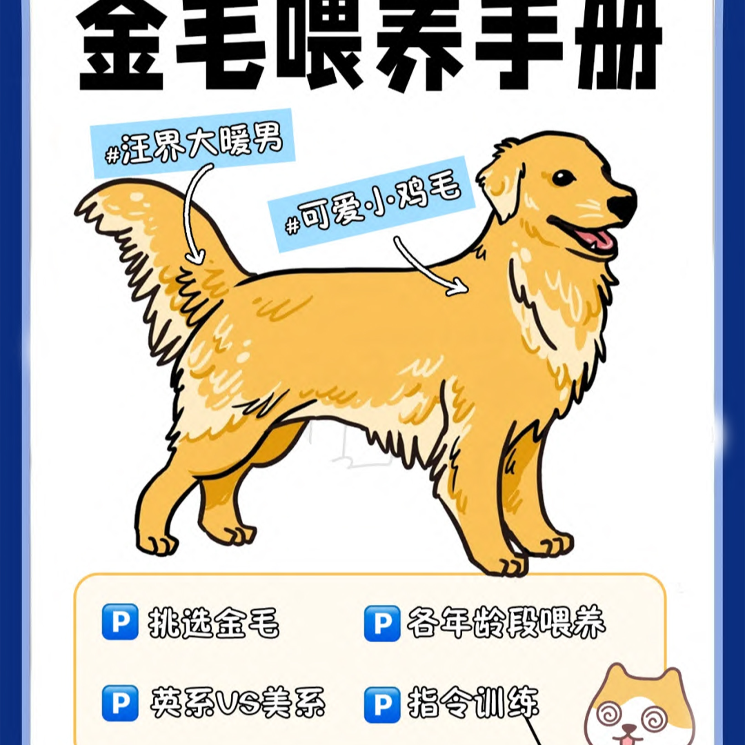 小八教你如何挑选狗狗
