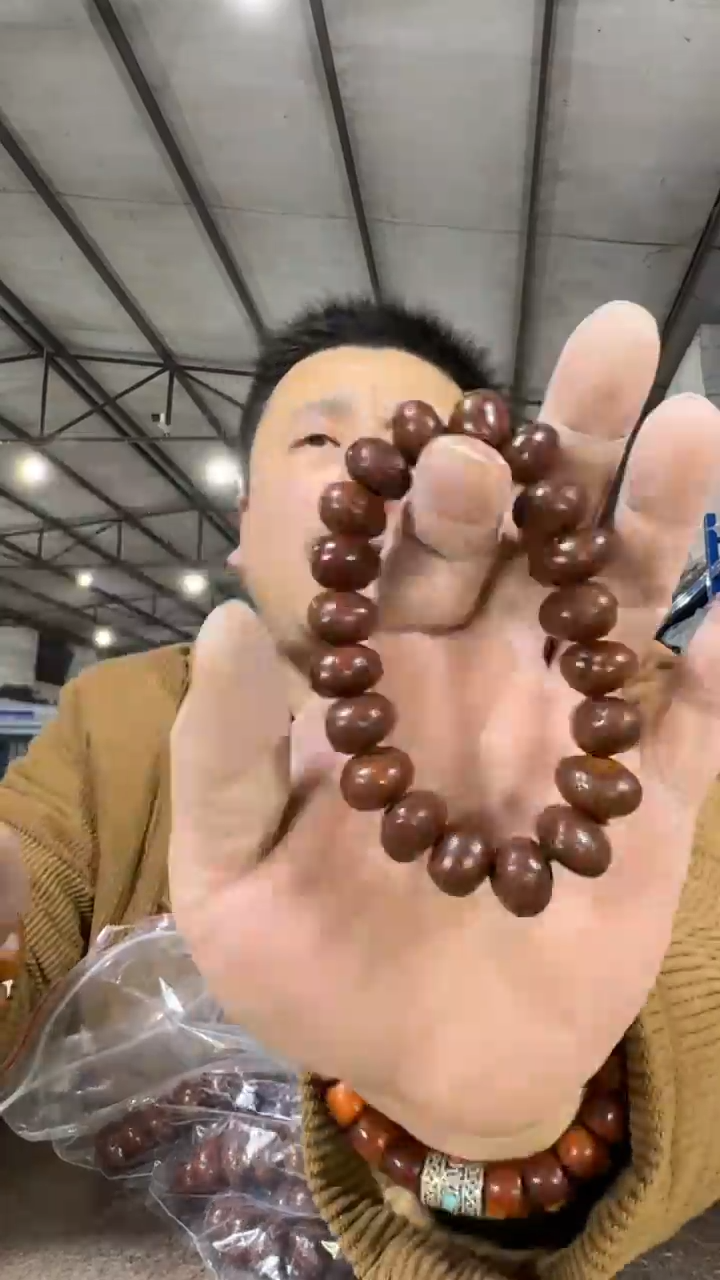 【闪购商品】星月菩提手串H102实物为准