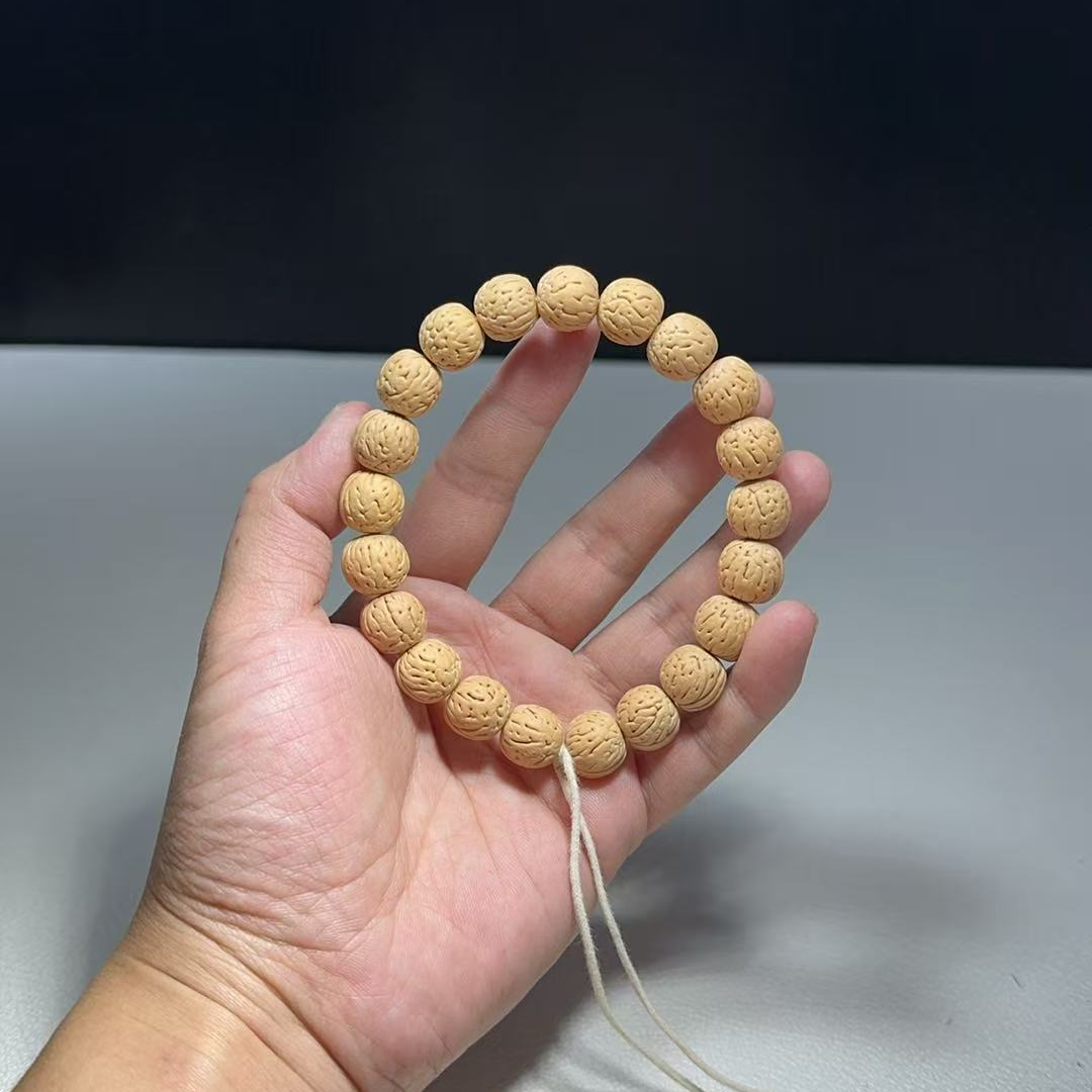 1.2（小黄桃）野生桃核27