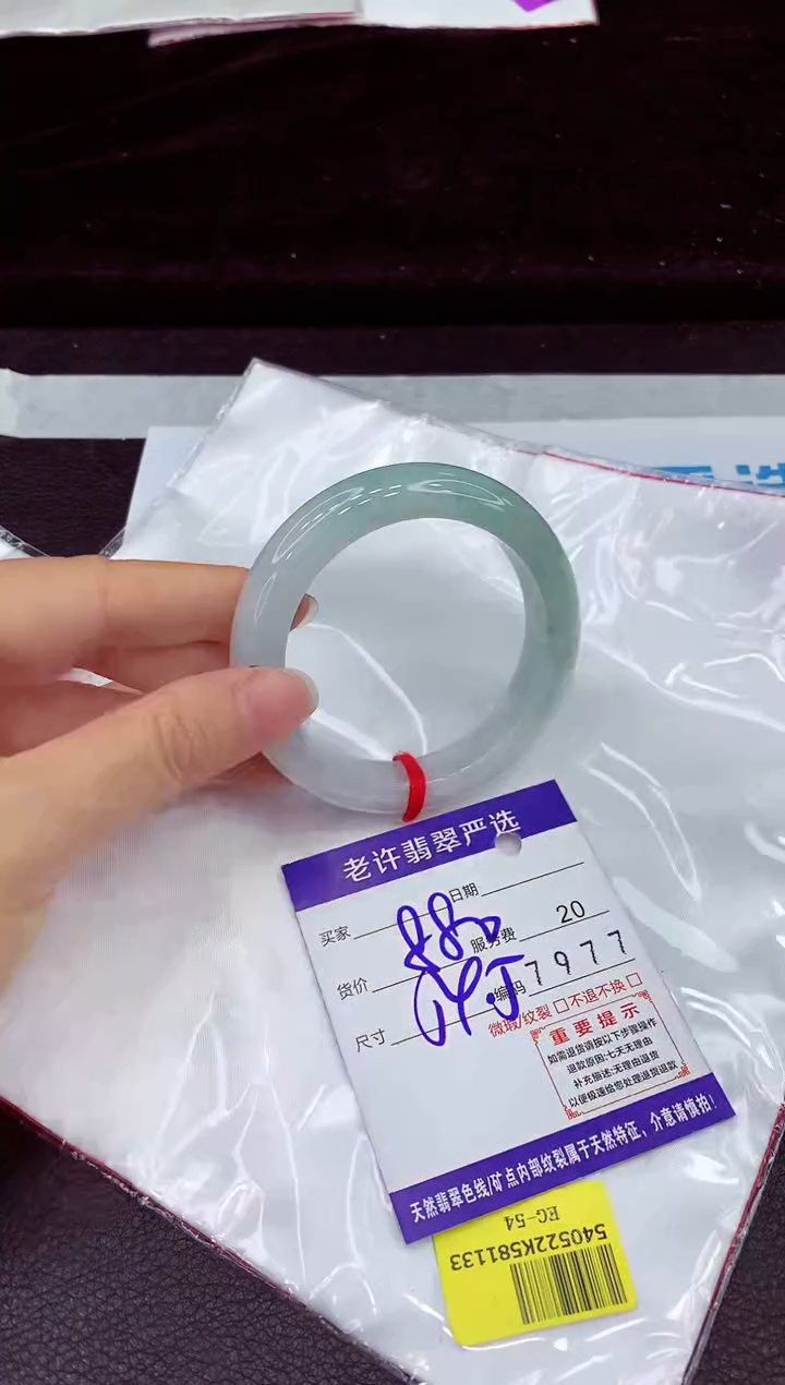 未镶嵌手镯翡翠11111