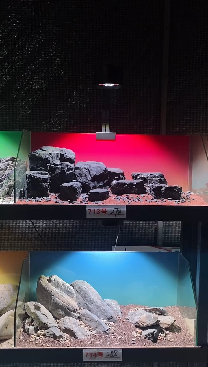 713号鱼缸造景（不含底砂）