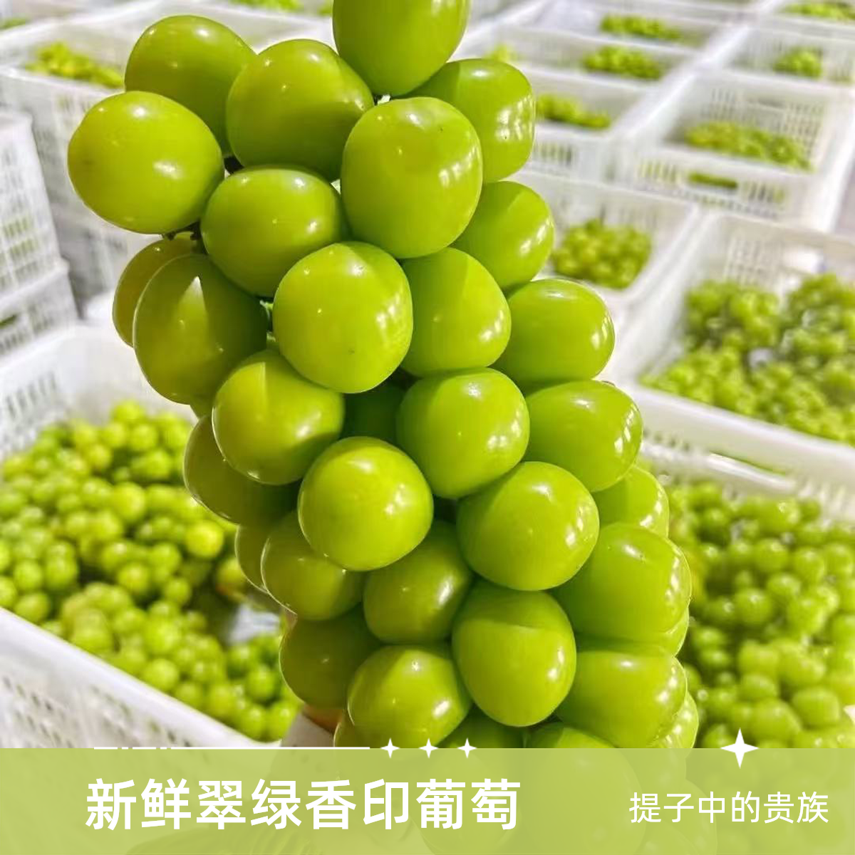 【顺丰次日达】阳光玫瑰新鲜葡萄晴王青提彩箱发当季水晶葡萄新鲜提子江苏省