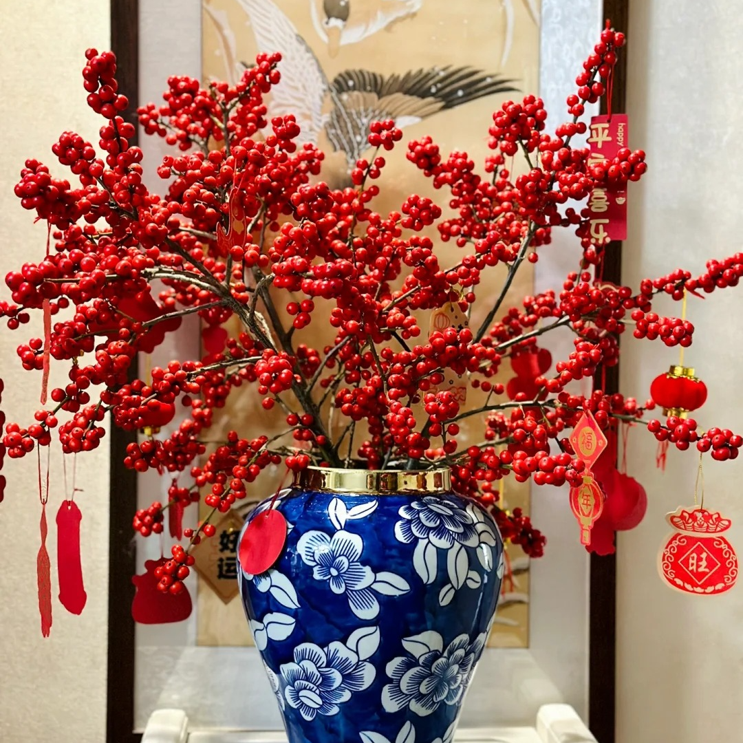 【有雲】冬青-高品质  任意两单包邮 发货后不支持退款