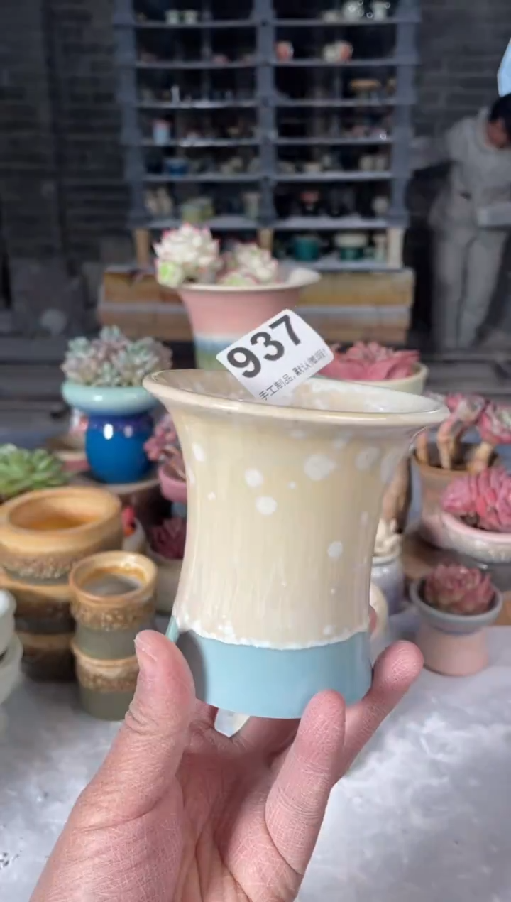 瓷片937小芳直播编号