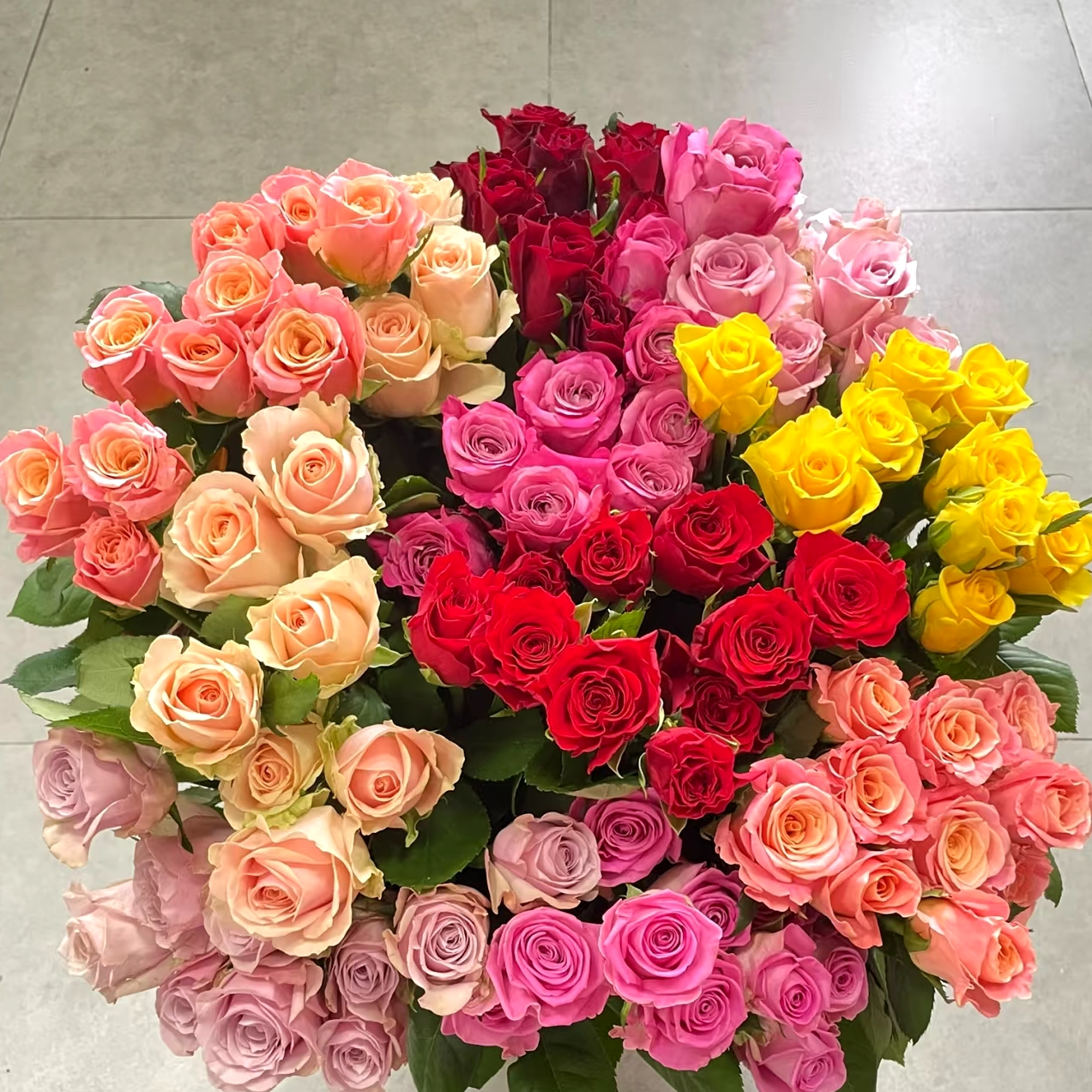 【禾韵山东】【稀有鲜花不备注随机发】自有基地花束鲜切花