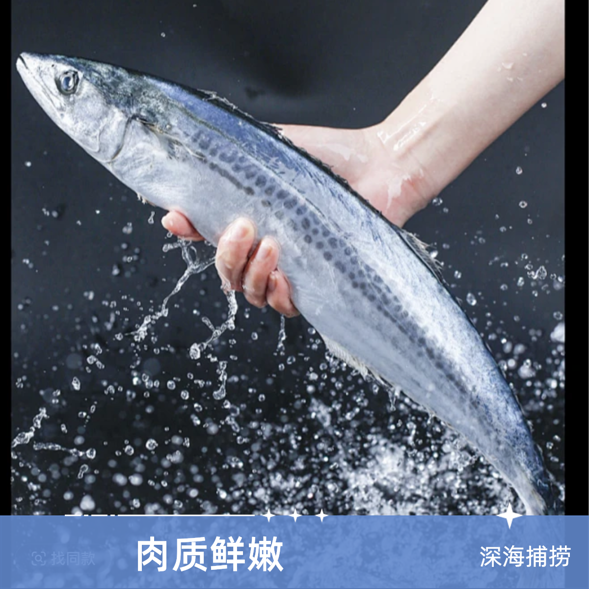 东海热气马鲛鱼 到手3条上下保净重4斤以上 顺丰冷链到家