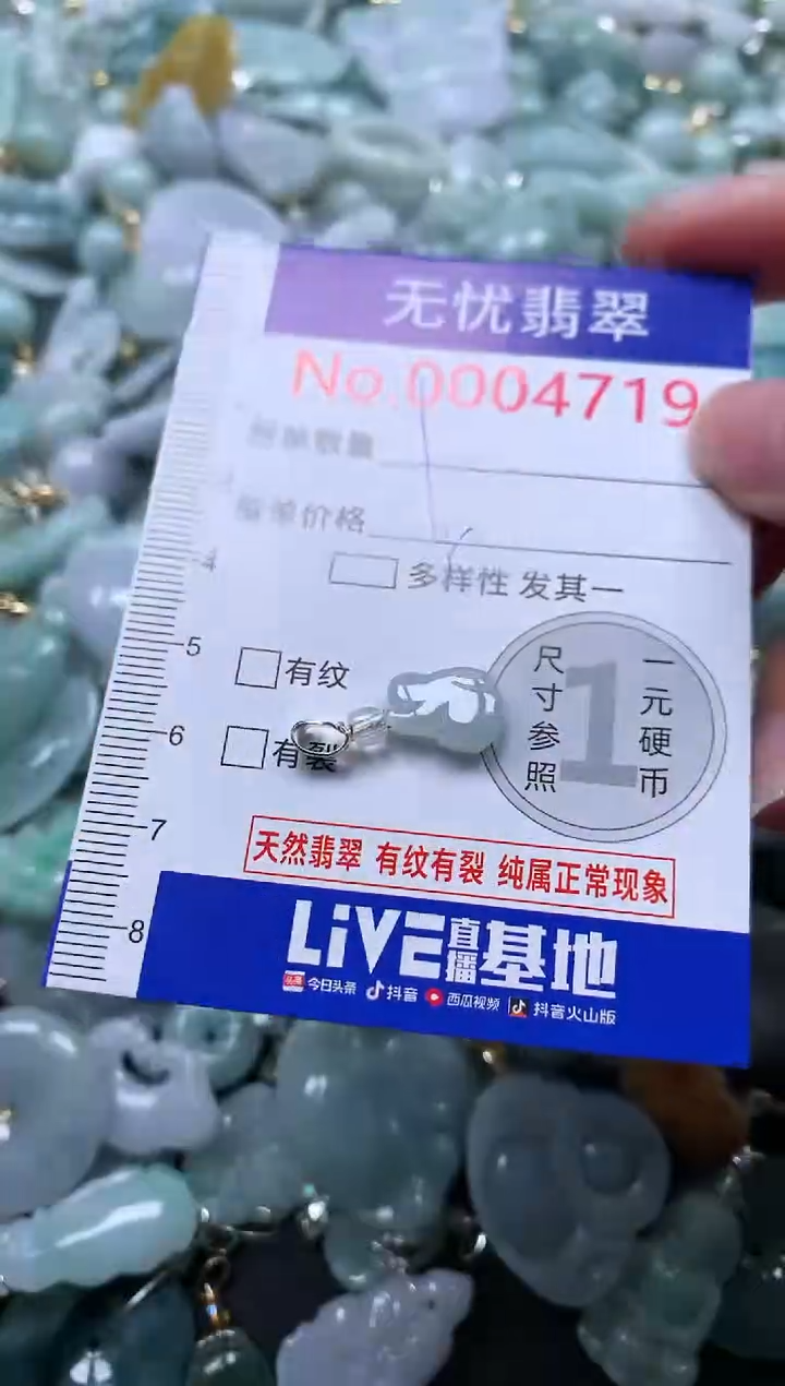 颈饰未镶嵌翡翠4719