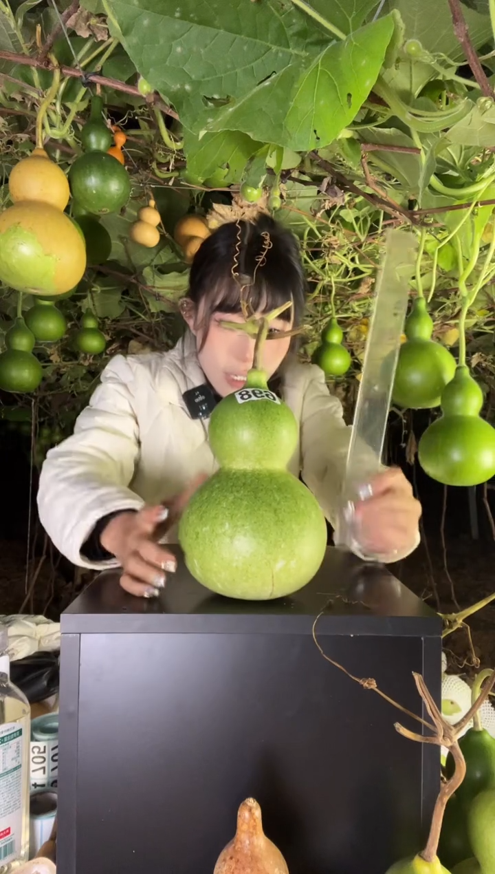 德****g698天然葫芦摆件 一物一拍龙头不保售后