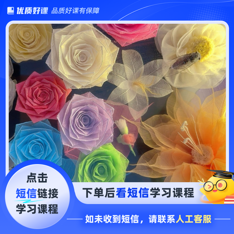 叶脉全集（包含其它所有课程）线上视频课（点击短信链接学习课程）