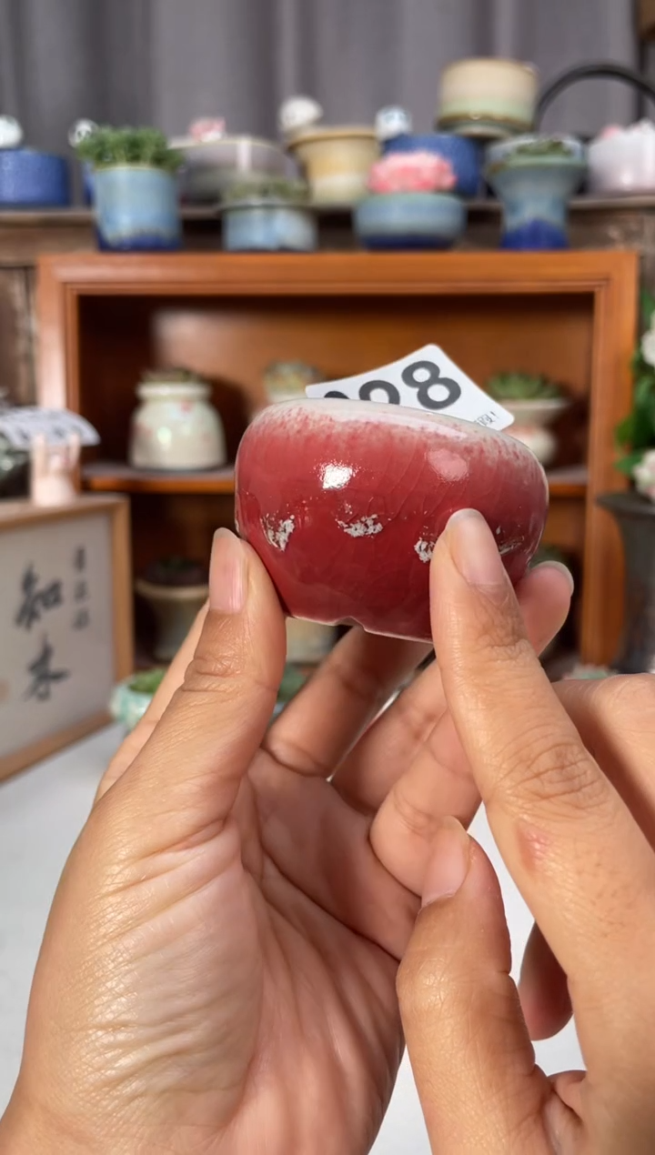 瓷片627知木小芳花盆