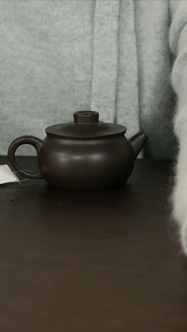 【闪购商品】紫砂茶壶直播福利胡琪老紫泥钱币小巨轮
