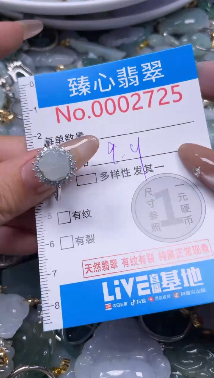 颈饰未镶嵌翡翠2725