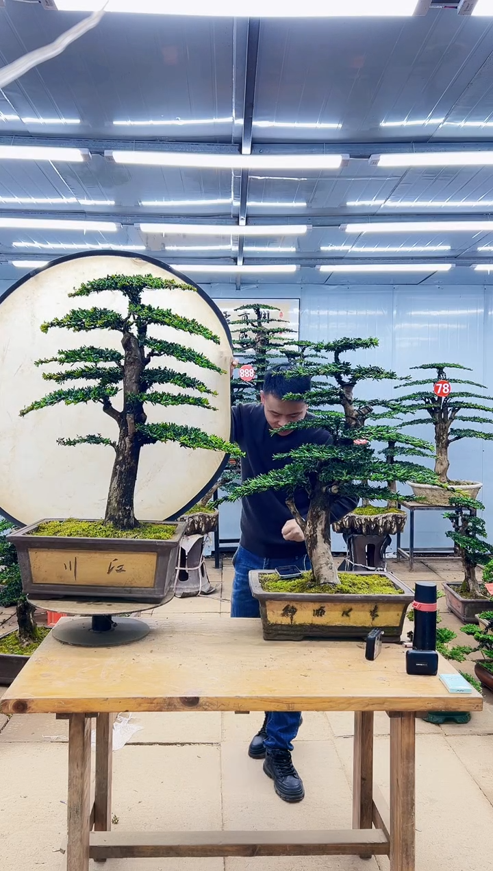 无花朵0000000000000000000000000